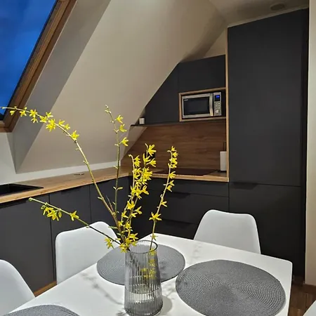 招待所 Osada Karkonosze